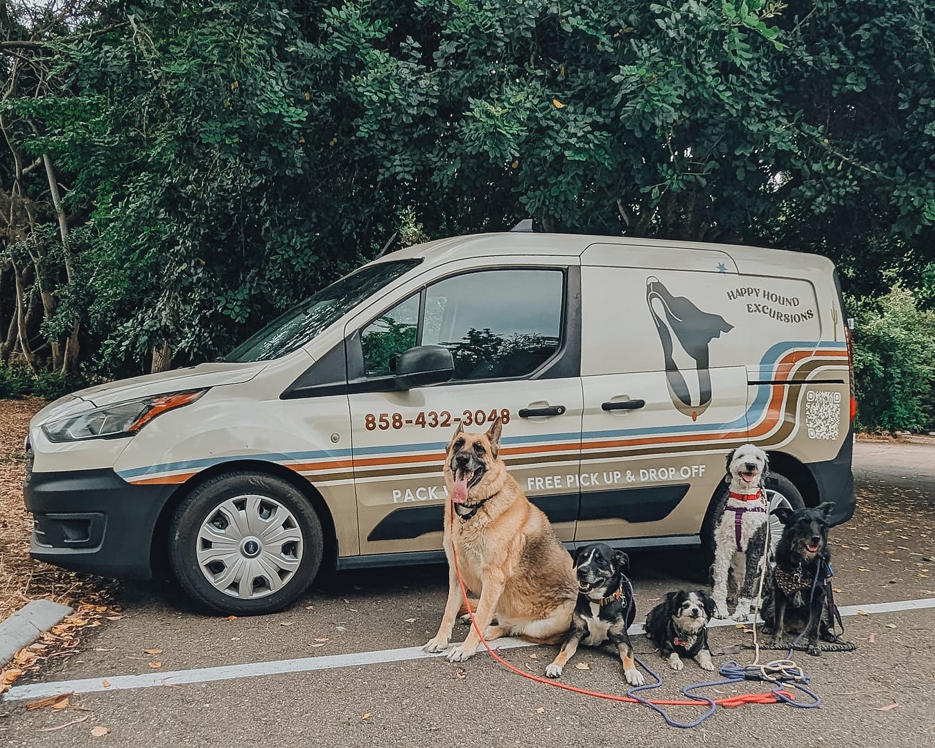 happy-hound-excursions-van